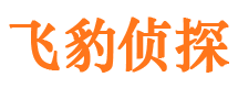 罗定市调查公司